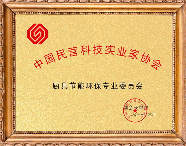 中國民營科技實業(yè)家