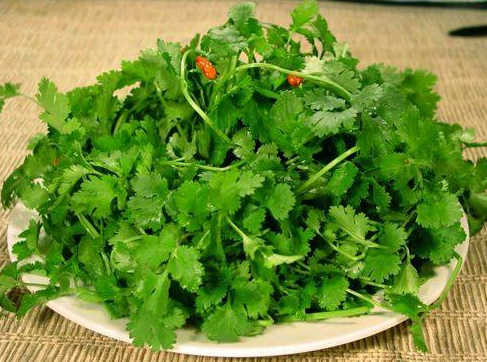 火鍋食材的選擇搭配(圖3)